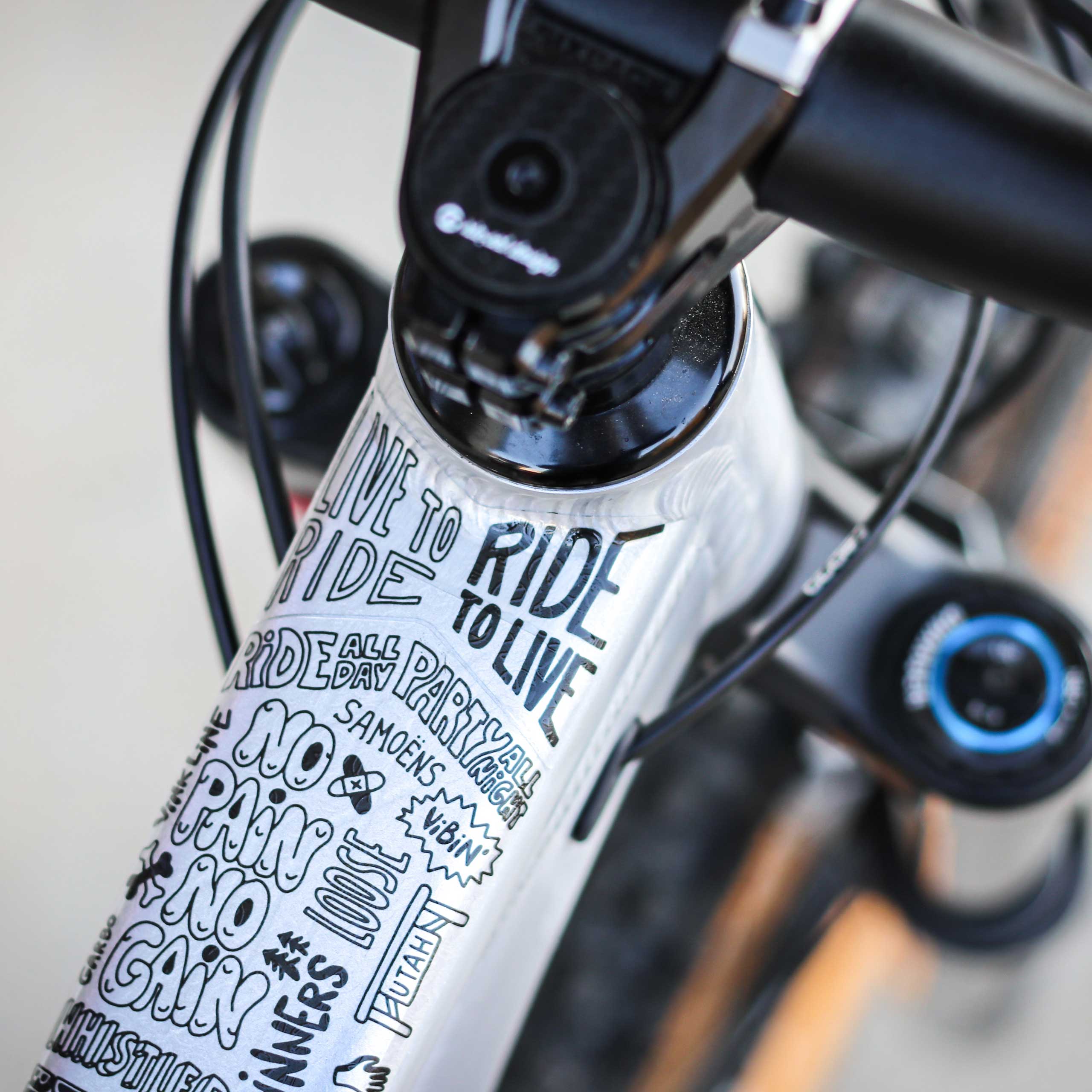 Riesel Design Frame:guard slang Rahmenschutzfolie